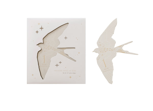Carte Étapes Birds