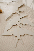 Carte Étapes Birds