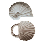 Set 2 coquillages