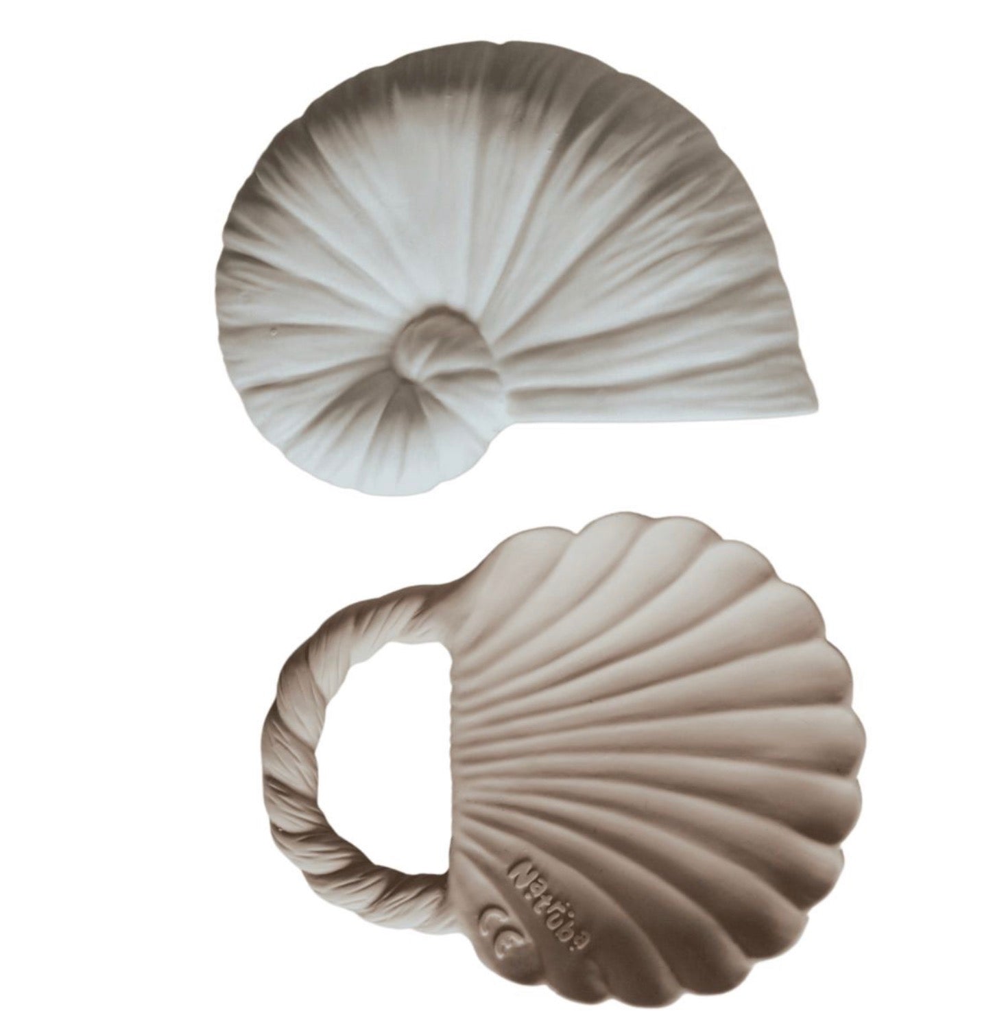 Set 2 coquillages