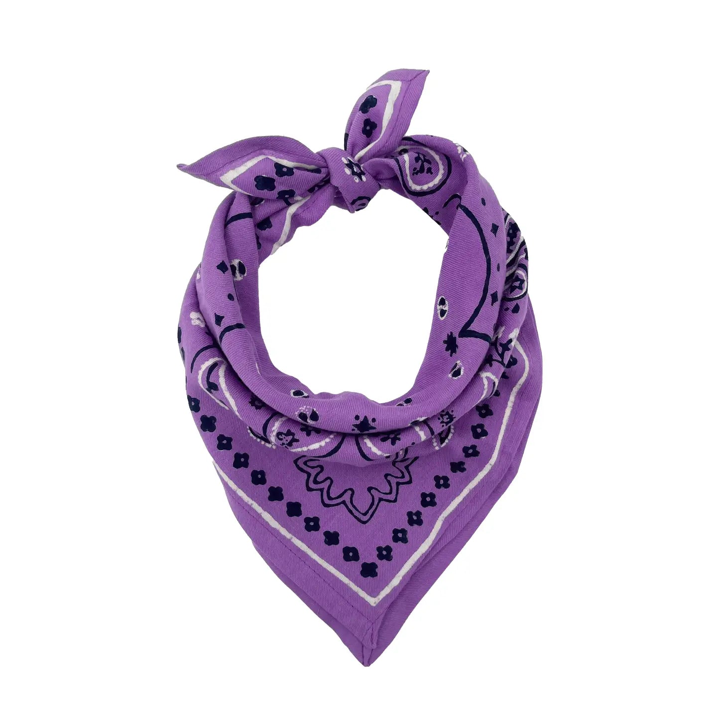 Petit foulard Violet