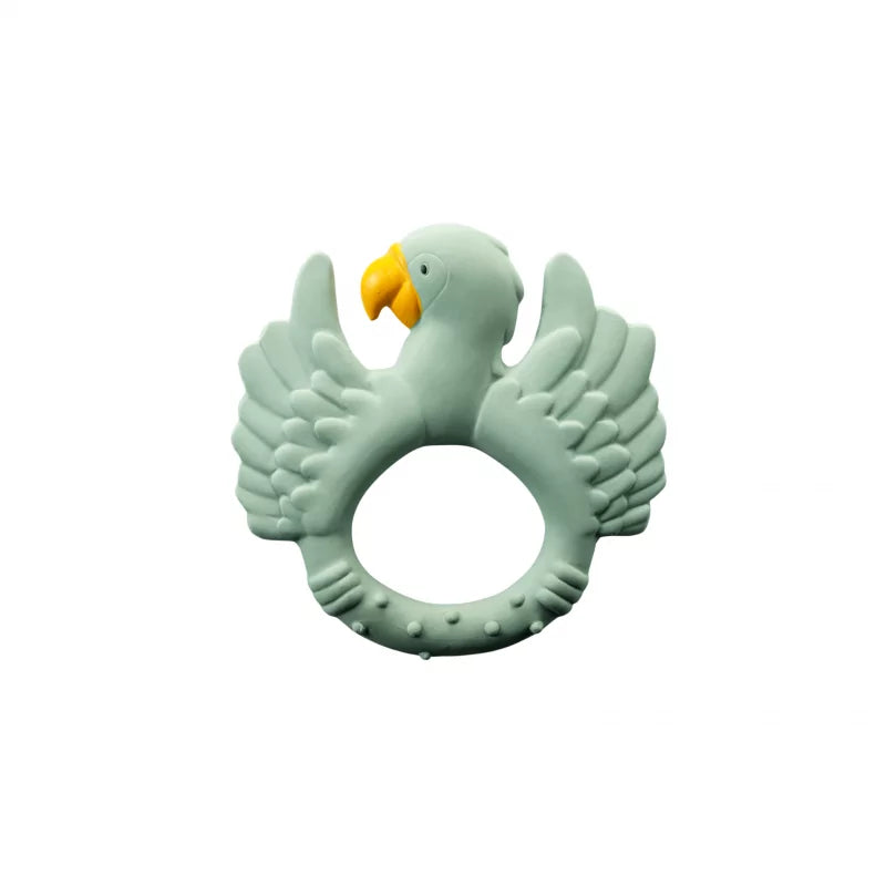 Anneau dentition perroquet