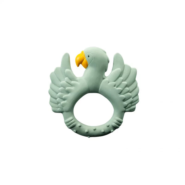Anneau dentition perroquet
