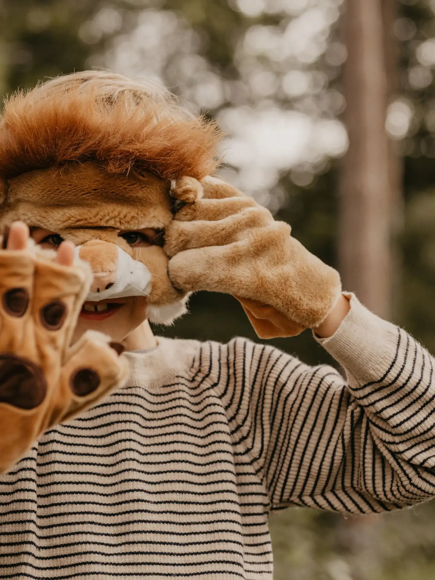 Set De Déguisement Lion