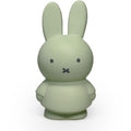 Tirelire Lapin Verte Miffy