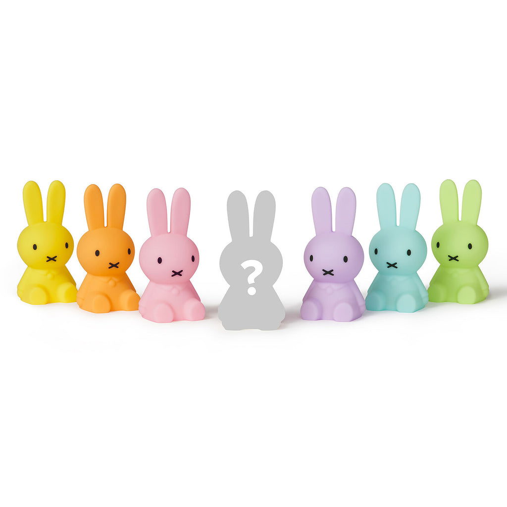 Miffy Bundle of Light Colorful
