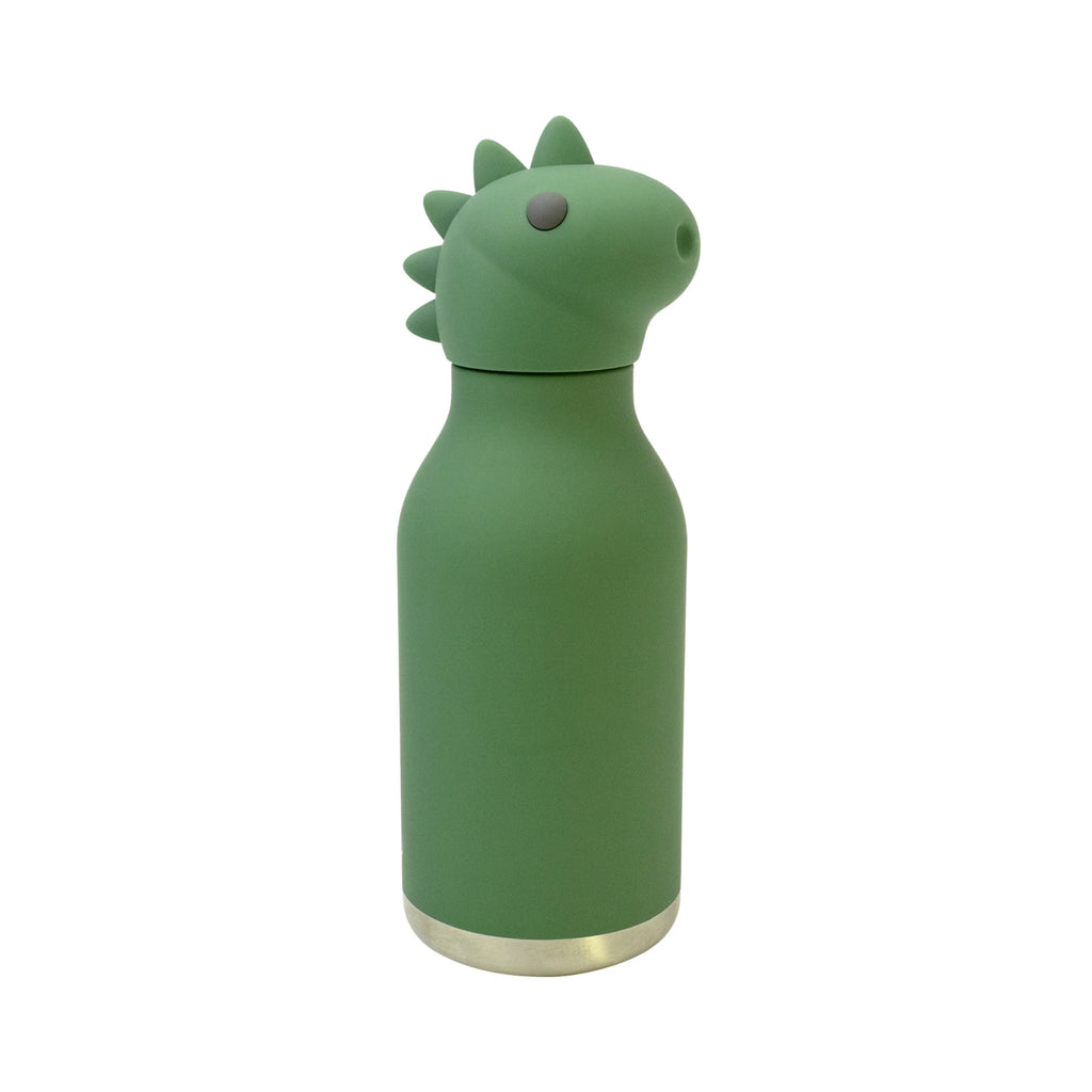 Gourde Dinosaure