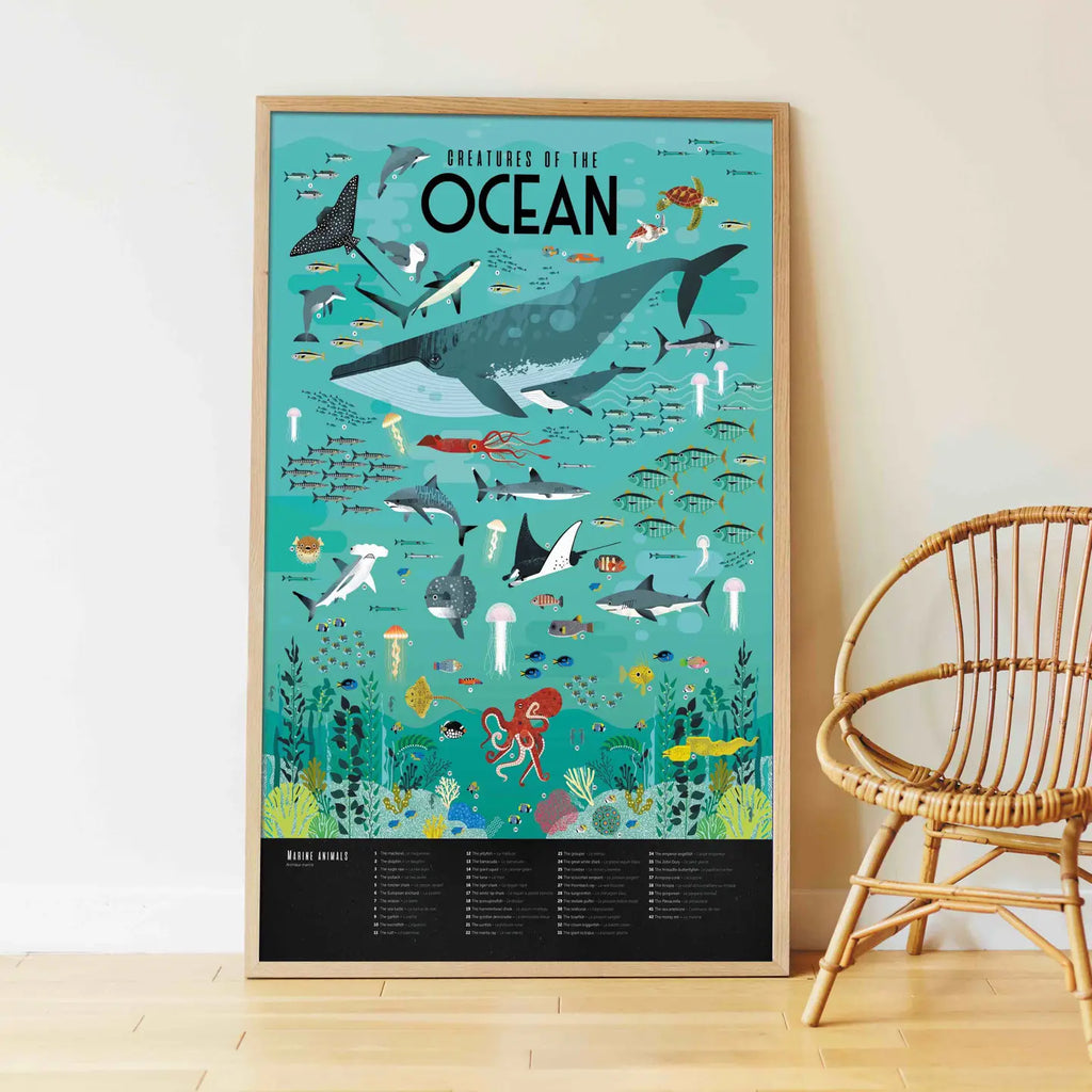 Poster Pédagogique Océan
