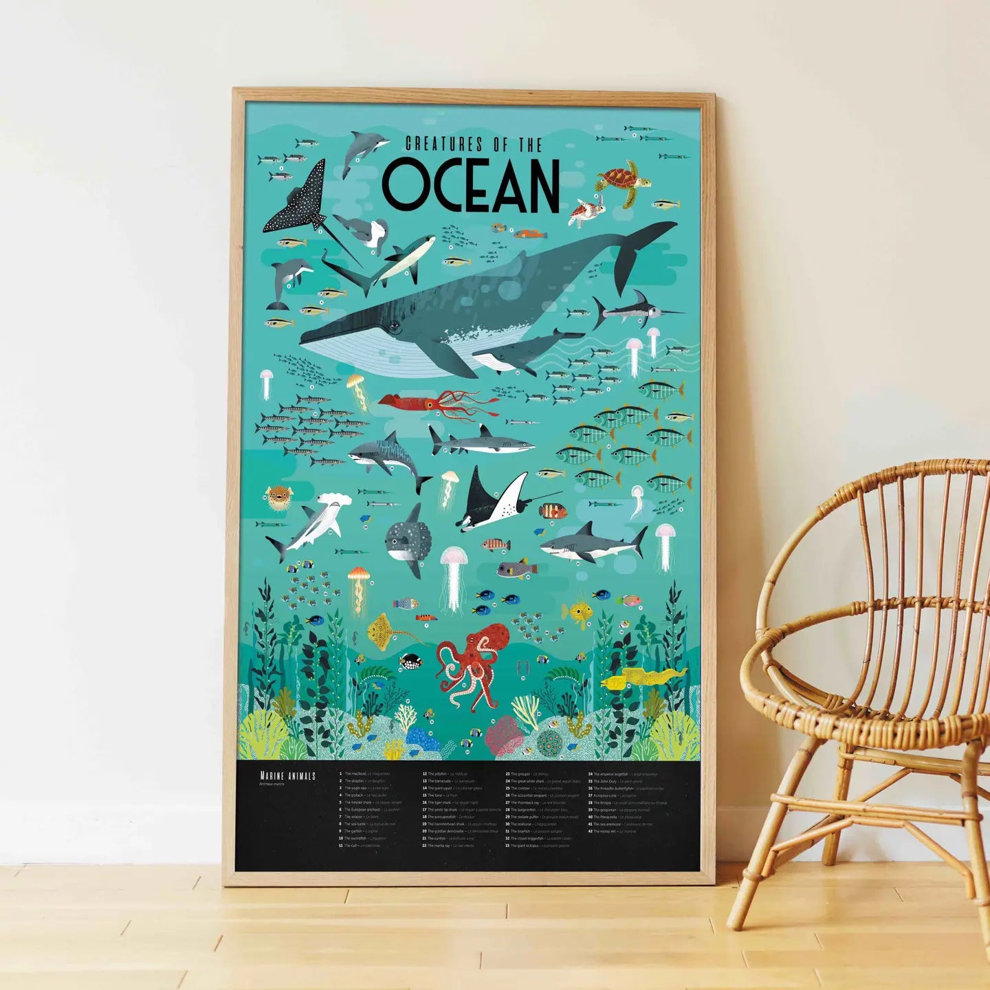 Poster Pédagogique Océan