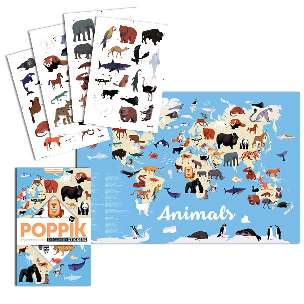 Poster Pédagogique Animaux du Monde