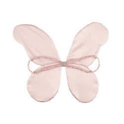 Ailes de Fée Pailletées